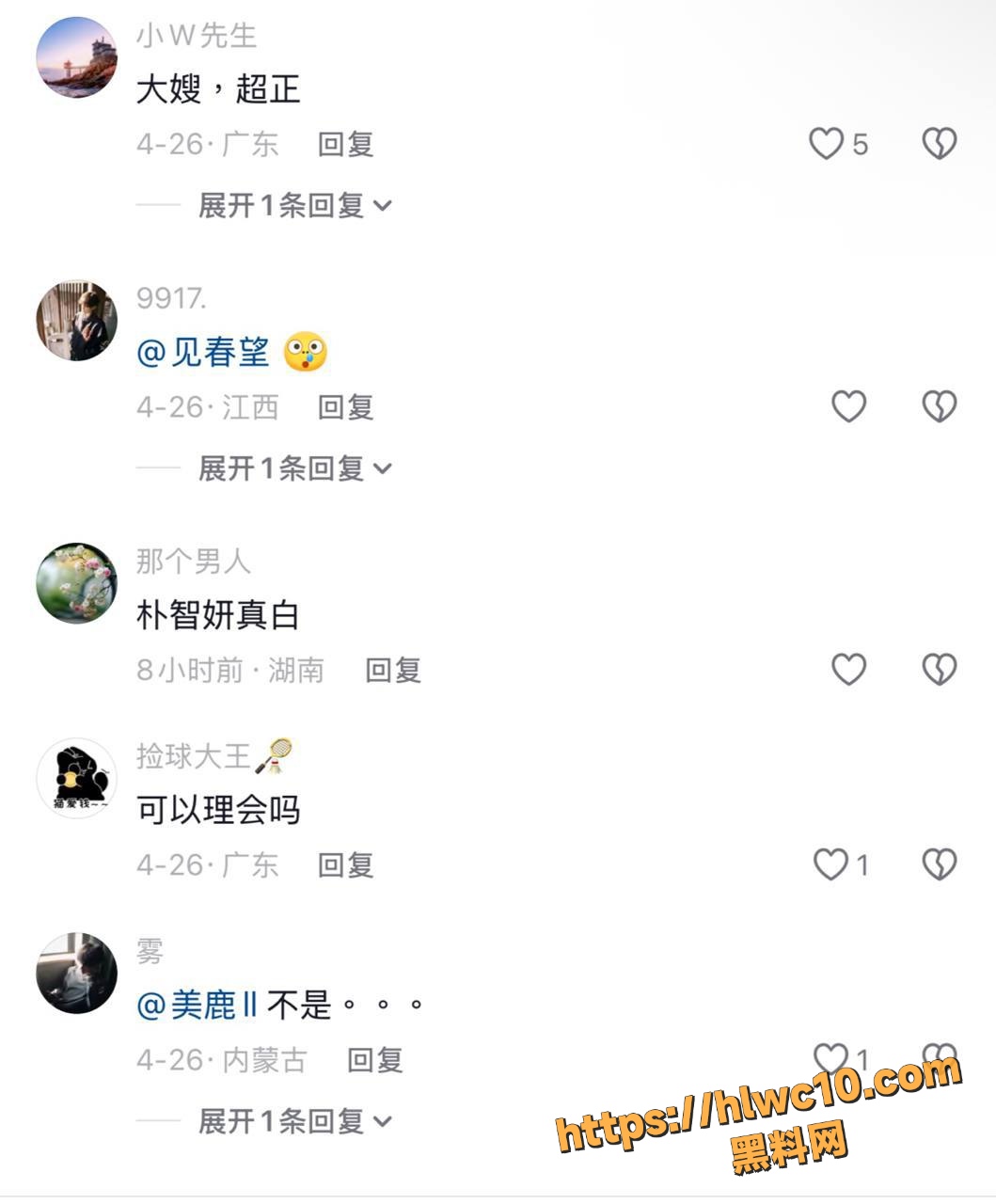朴智贤9