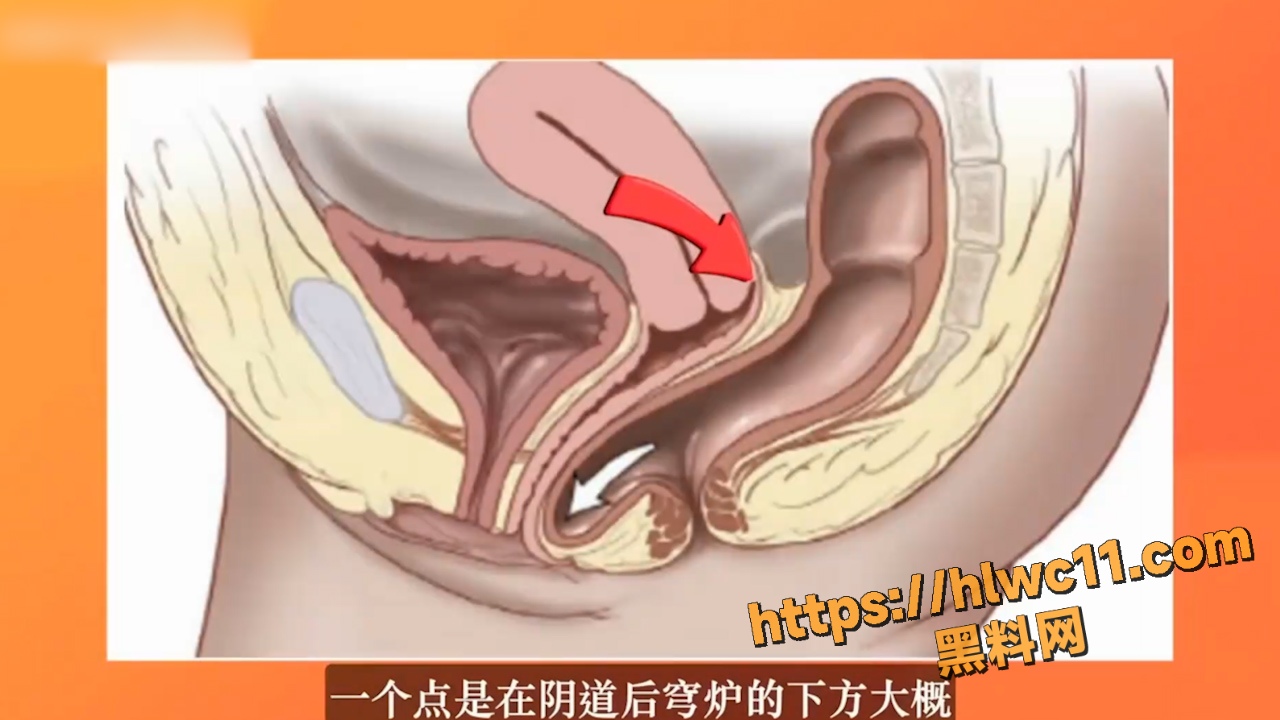 黑料课堂5