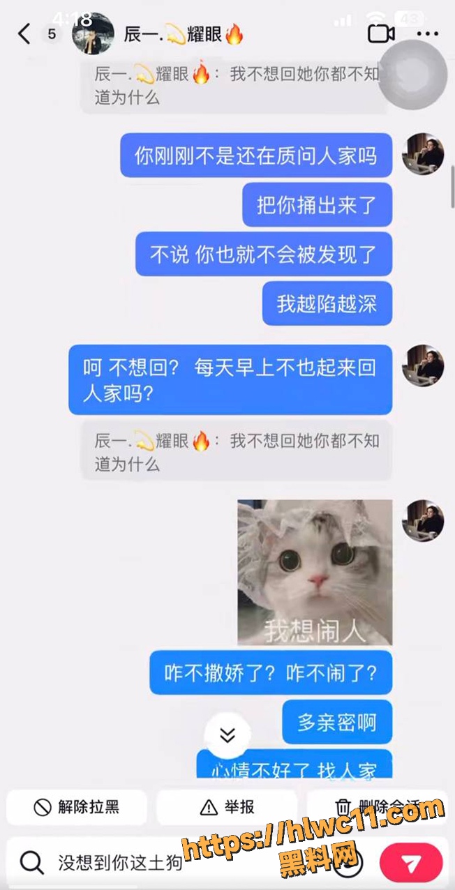 网红男团辰一出轨 6