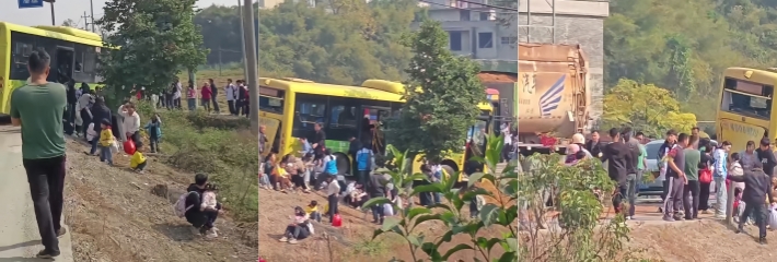 下载
