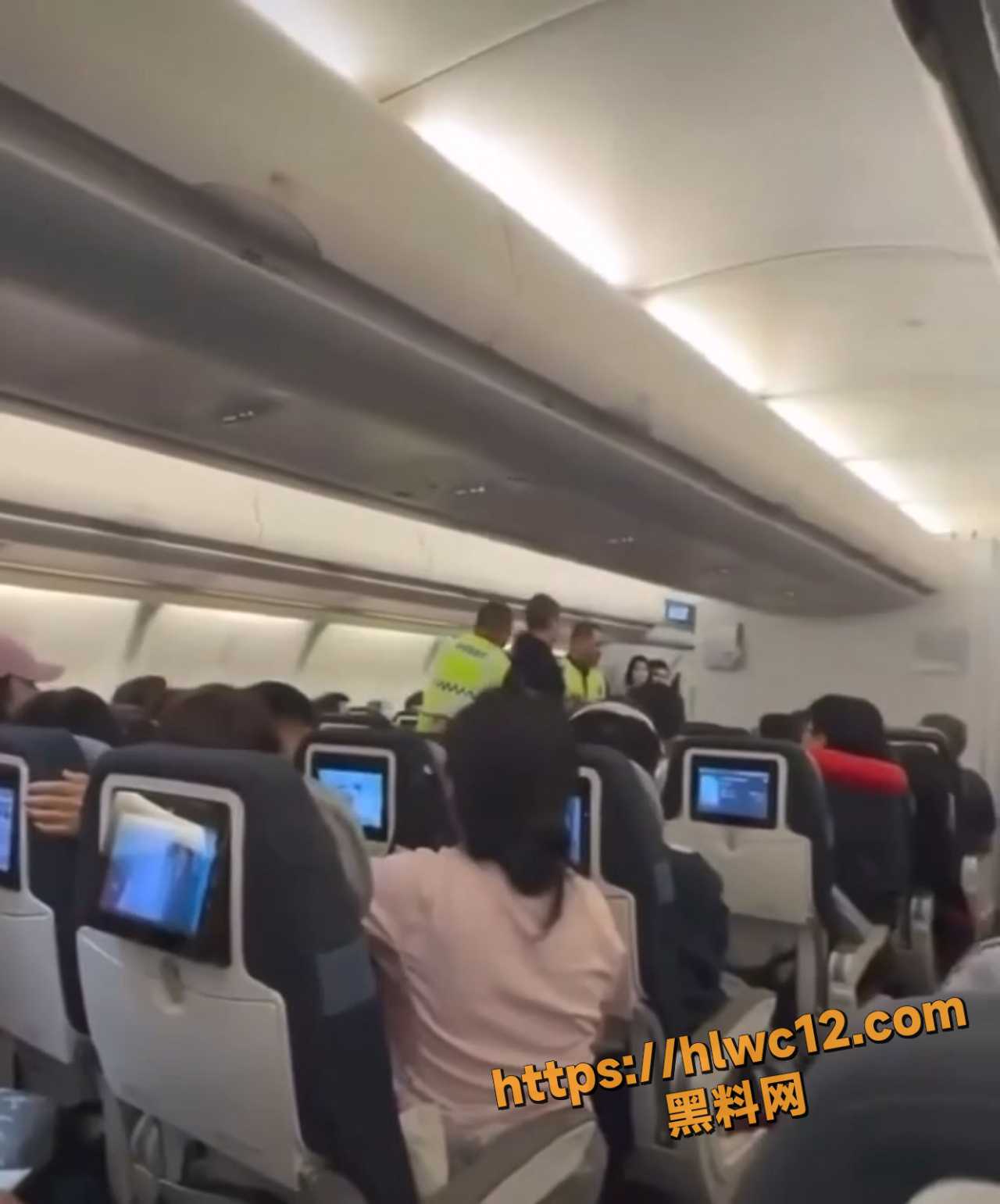 中国乘客猥亵空姐被逐