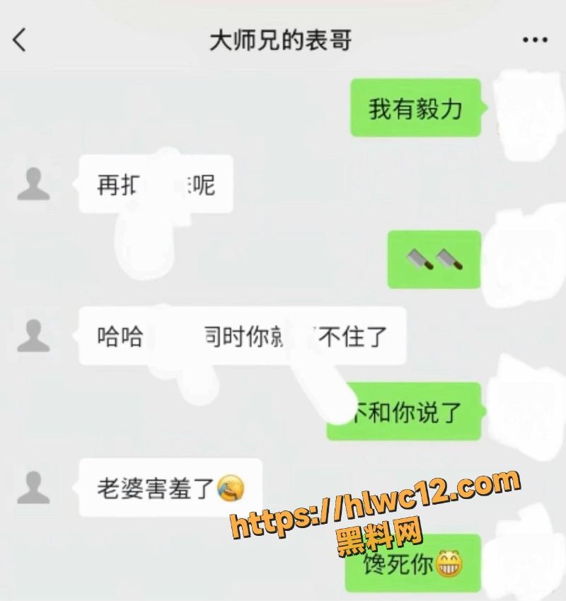 大表哥移民美国事件12