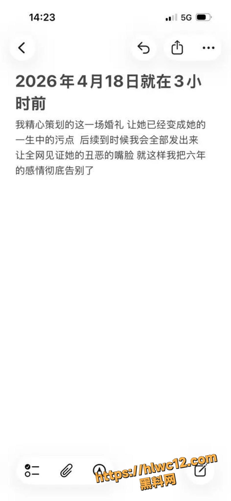 17新婚wm