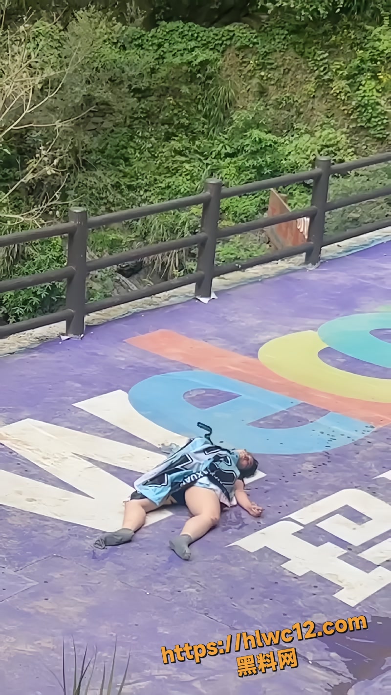 04玛琉岩探险公园秋千事故wm