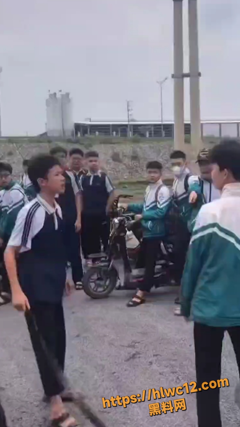 河南高中生校外群殴事件1