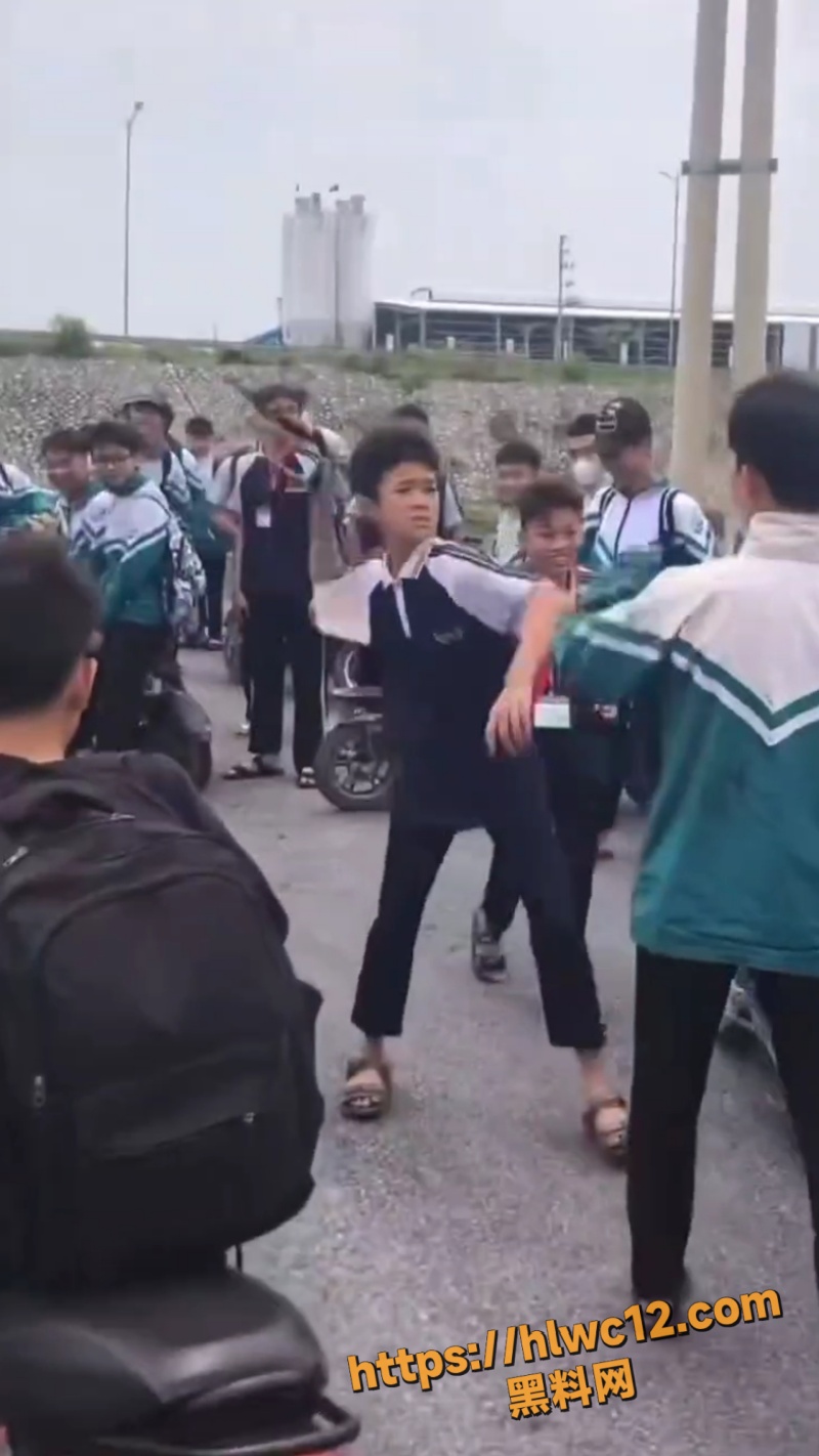 河南高中生校外群殴事件2