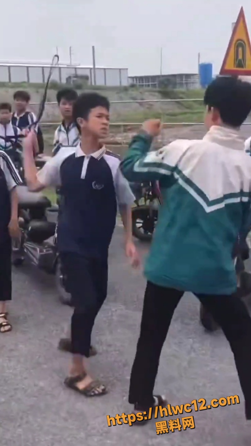 河南高中生校外群殴事件3