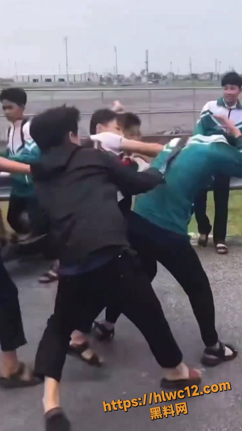 河南高中生校外群殴事件4