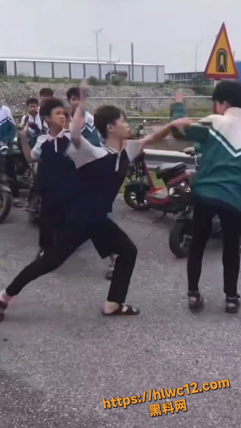 河南高中生校外群殴事件5