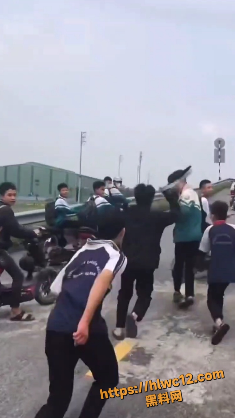 河南高中生校外群殴事件6