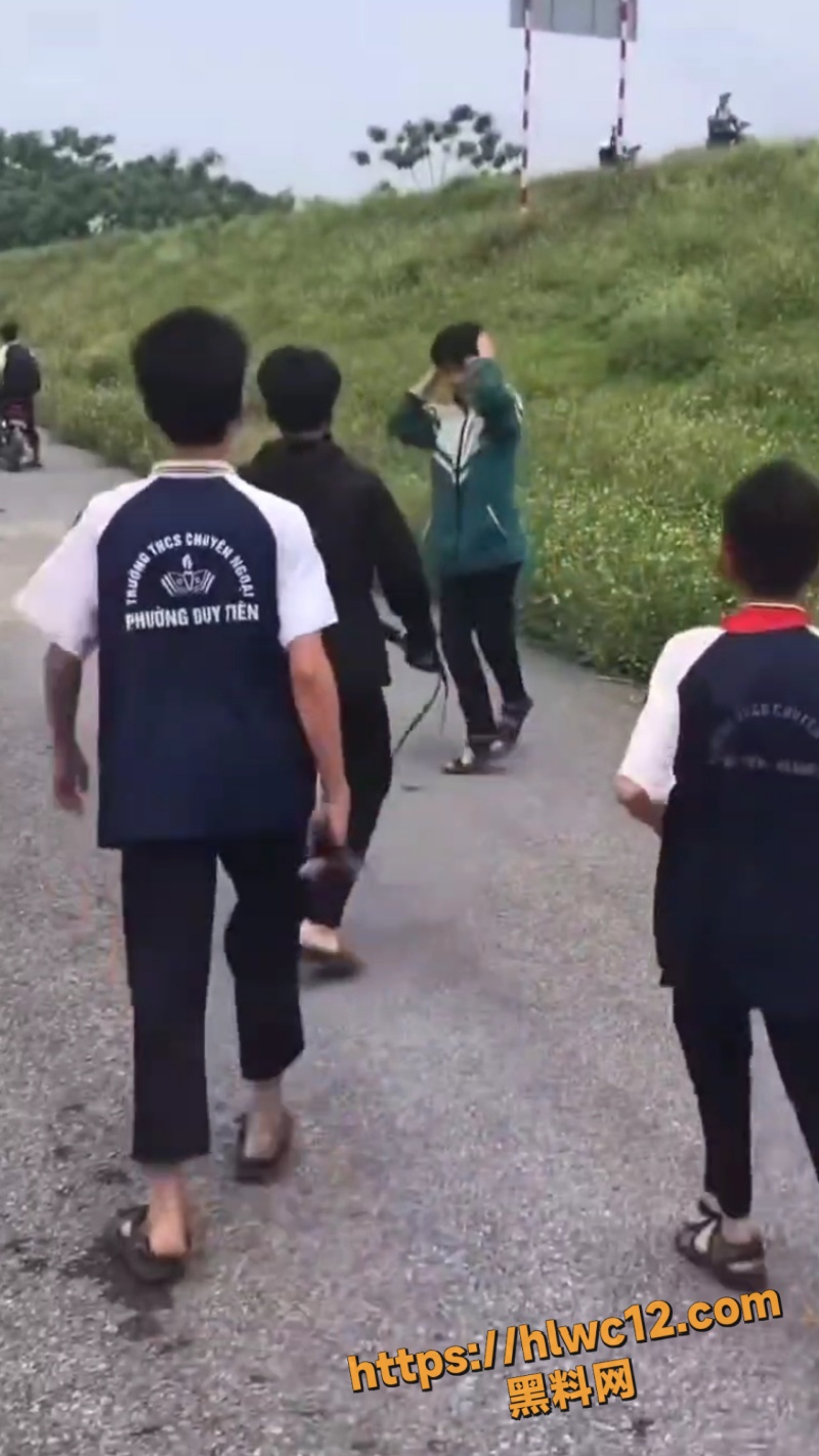 河南高中生校外群殴事件7