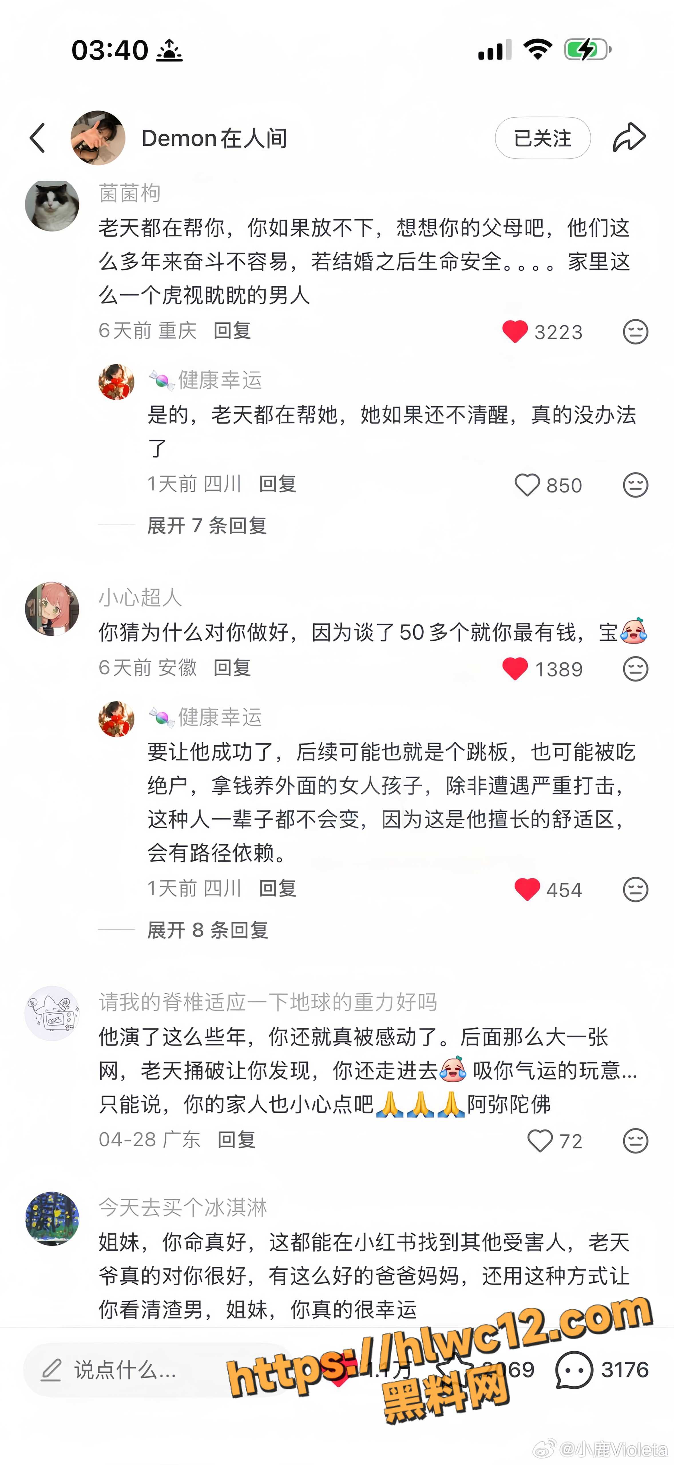 贾凡31