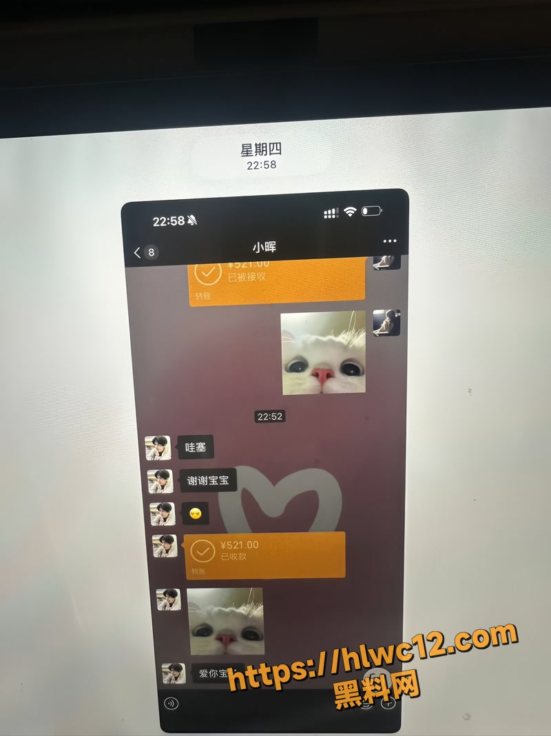 秦琳欣 15wm