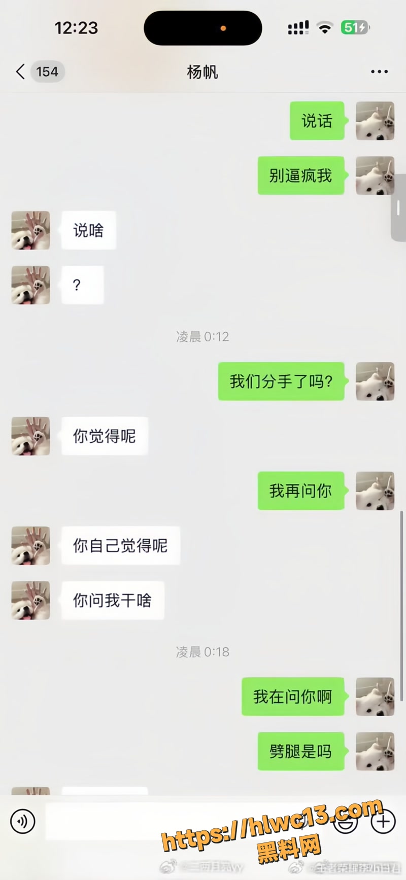 杨帆 15wm