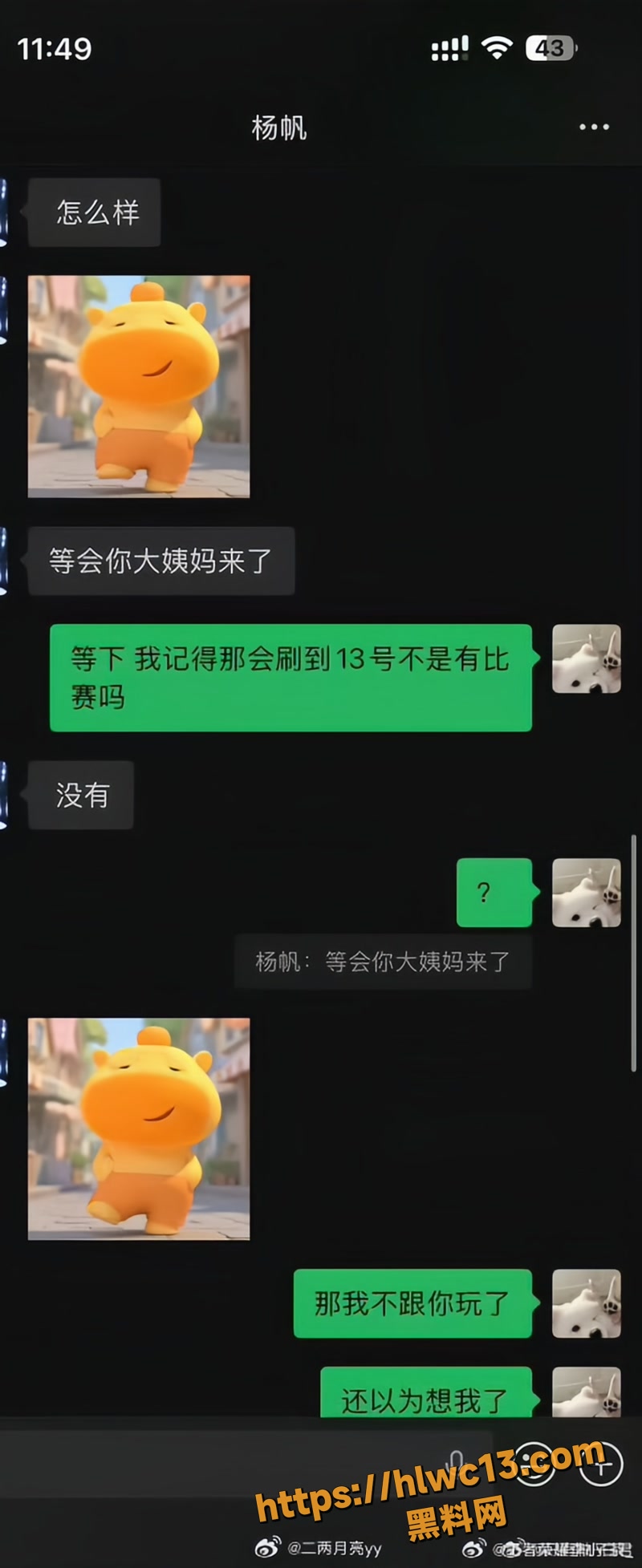 杨帆 19wm