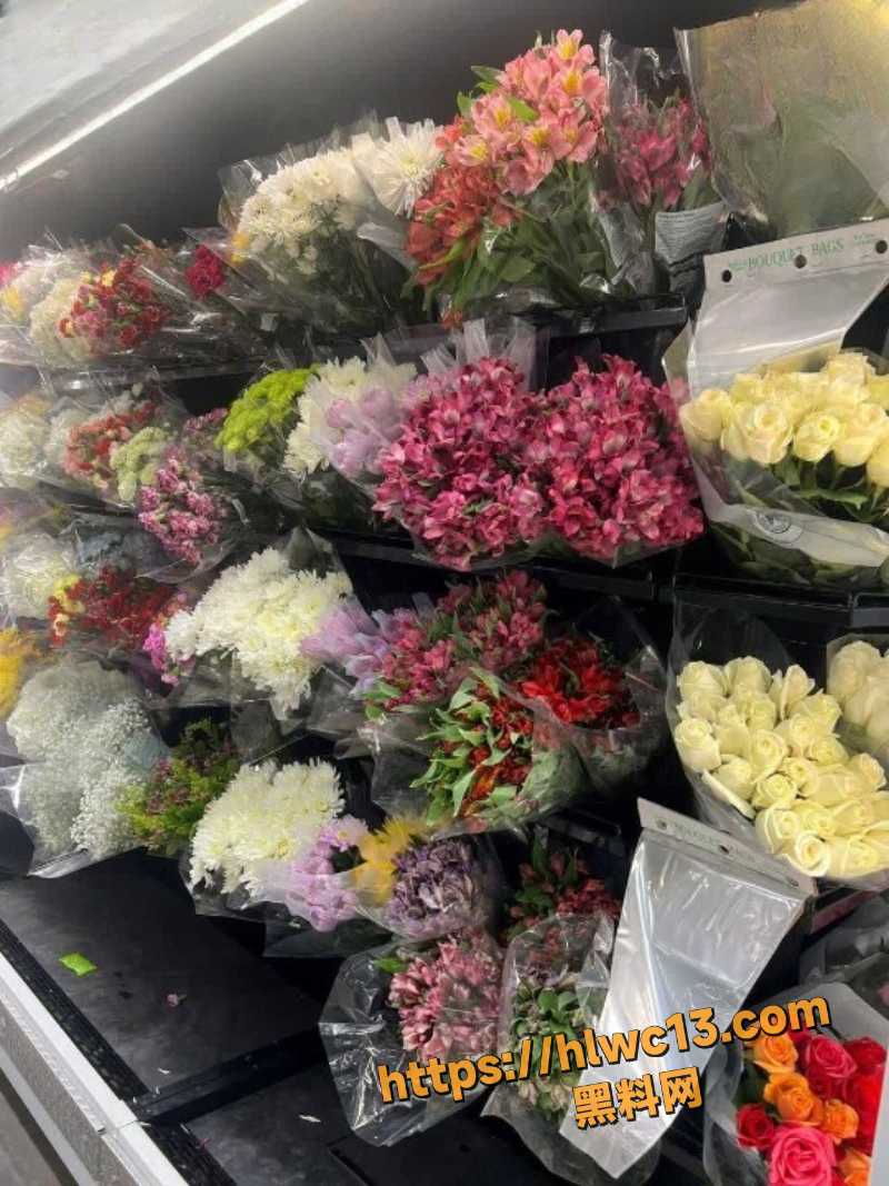 极品堂妹后入高潮2