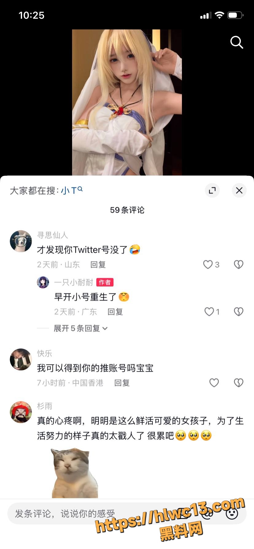 一只小奈奈 2