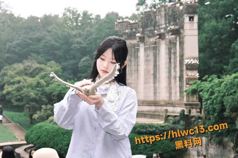 刘梓玥车震视频流出2