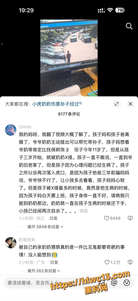 小虎妈妈 1