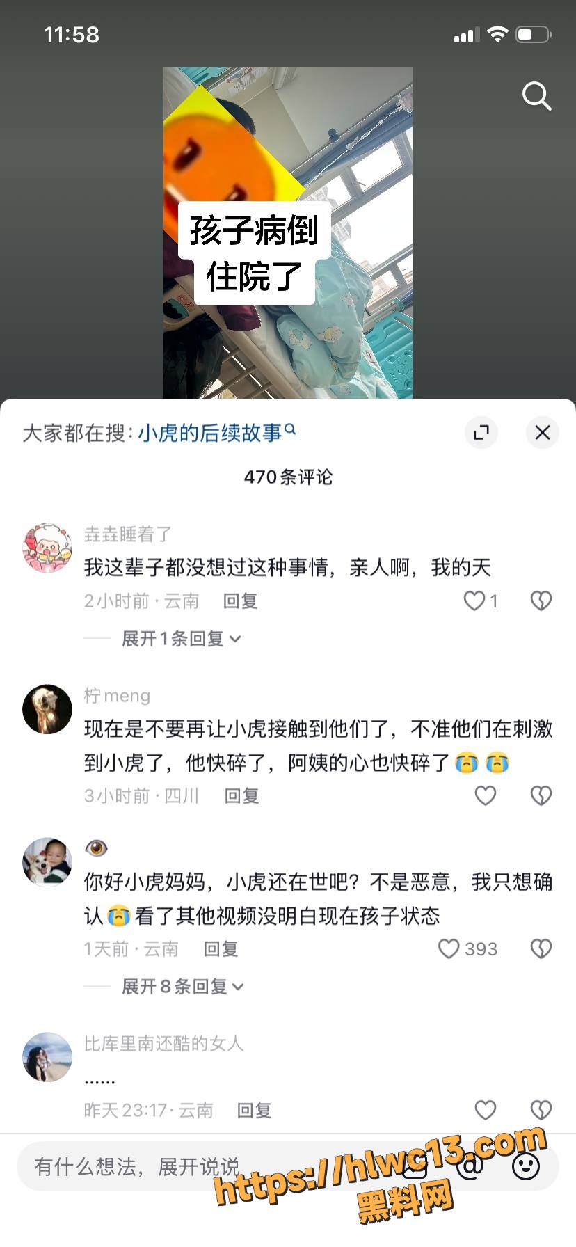 小虎妈妈 3