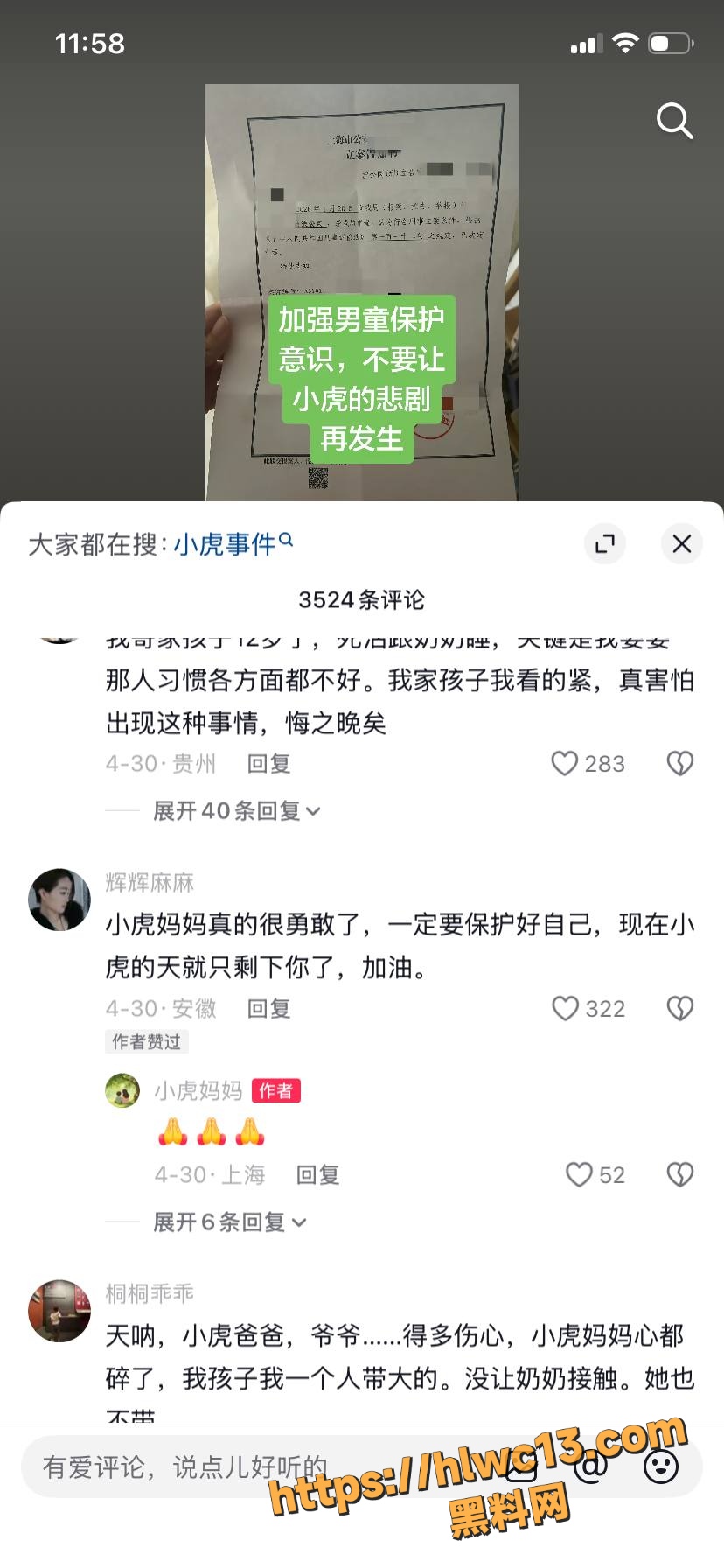 小虎妈妈 5