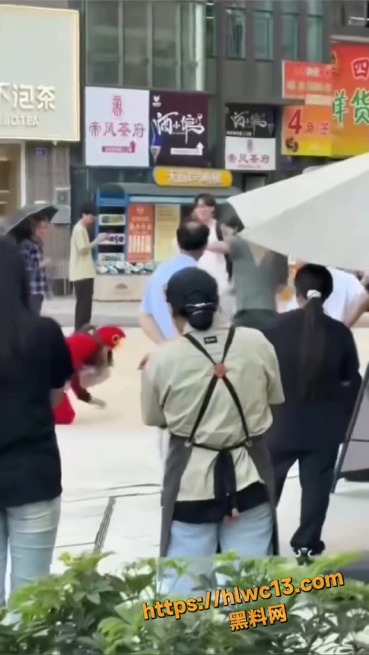 街头遛狗  1