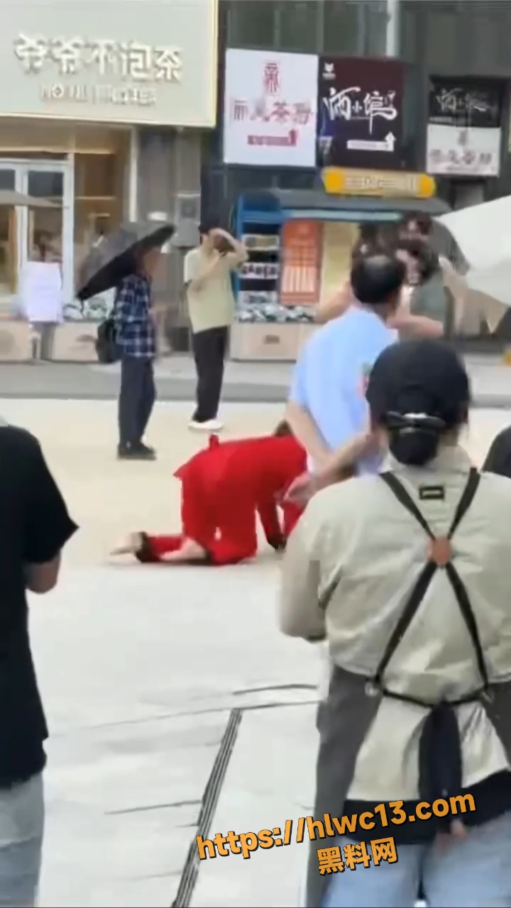 主人任务 2