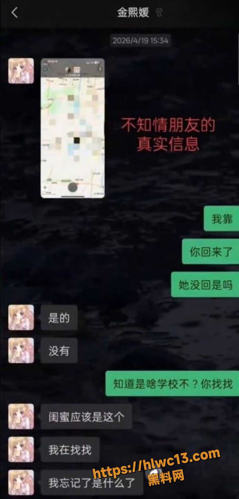 园咲若菜聊天记录曝光4