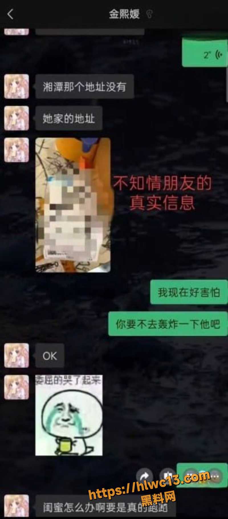 园咲若菜聊天记录曝光5