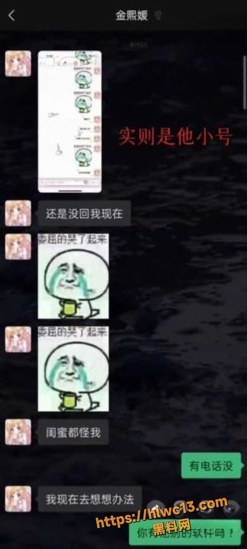 园咲若菜聊天记录曝光8