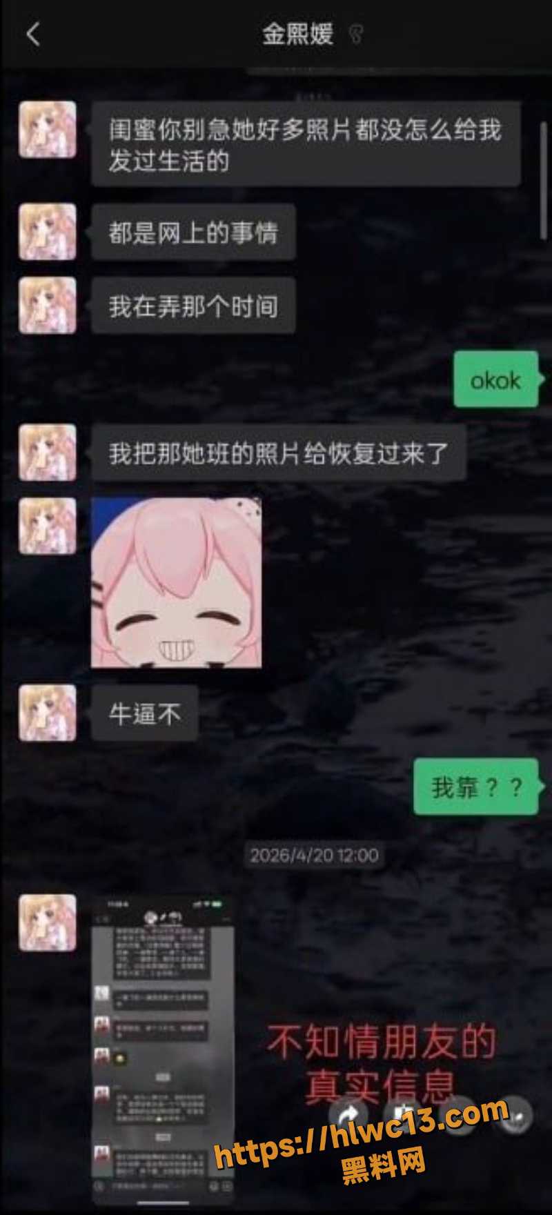 园咲若菜聊天记录曝光9