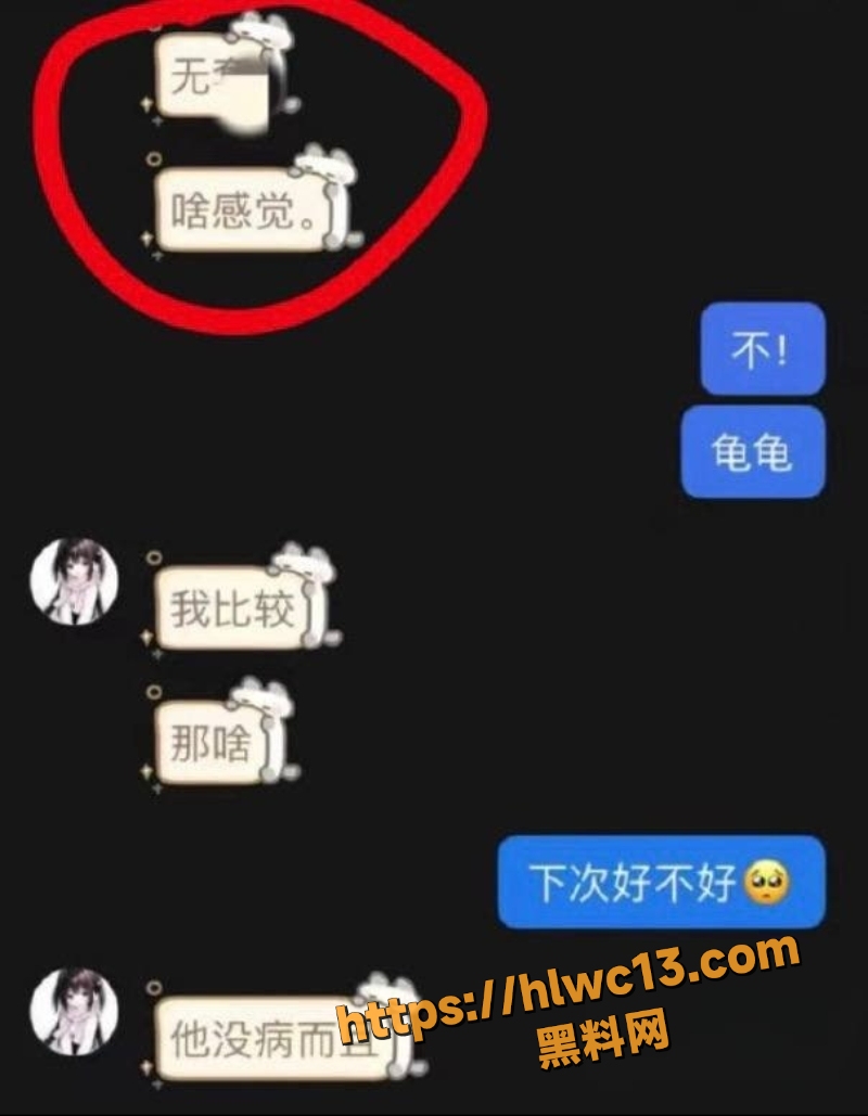 园咲若菜聊天记录曝光11