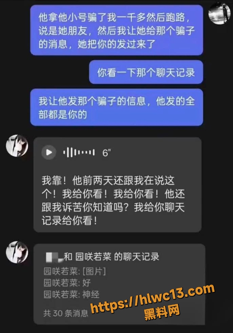 园咲若菜聊天记录曝光13