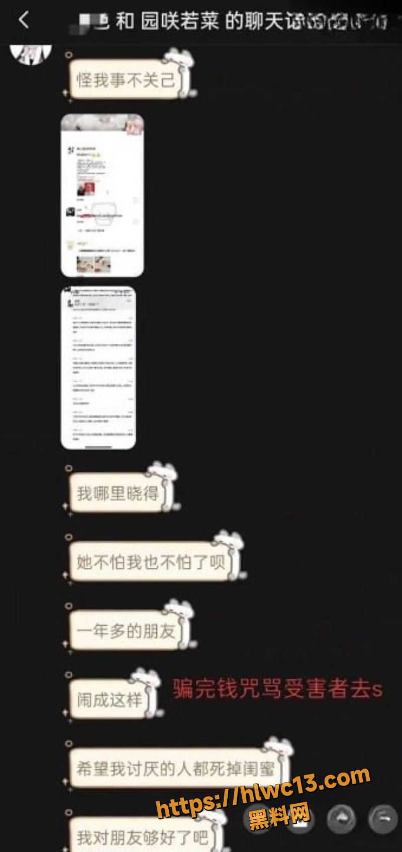 园咲若菜聊天记录曝光22