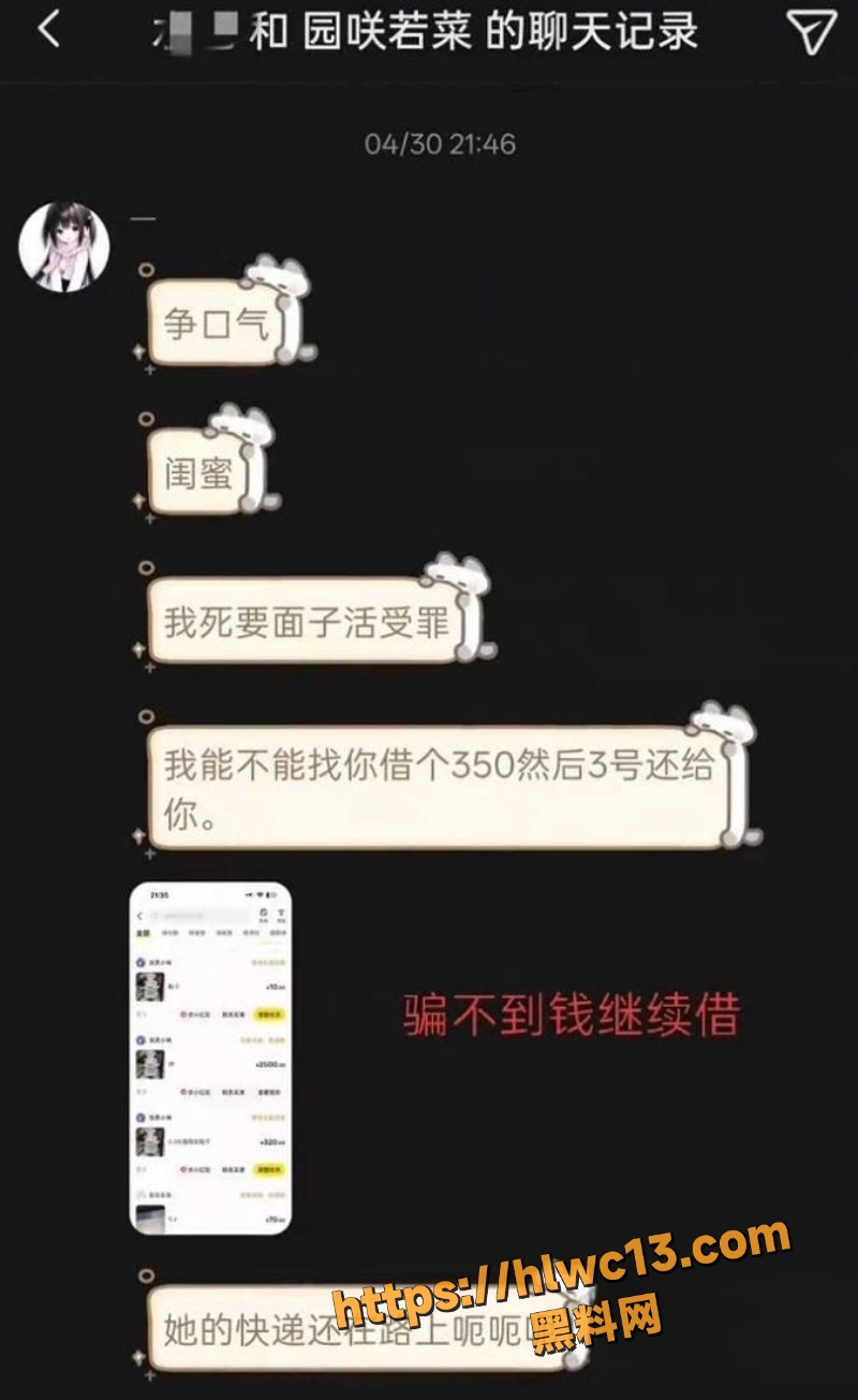 园咲若菜聊天记录曝光24