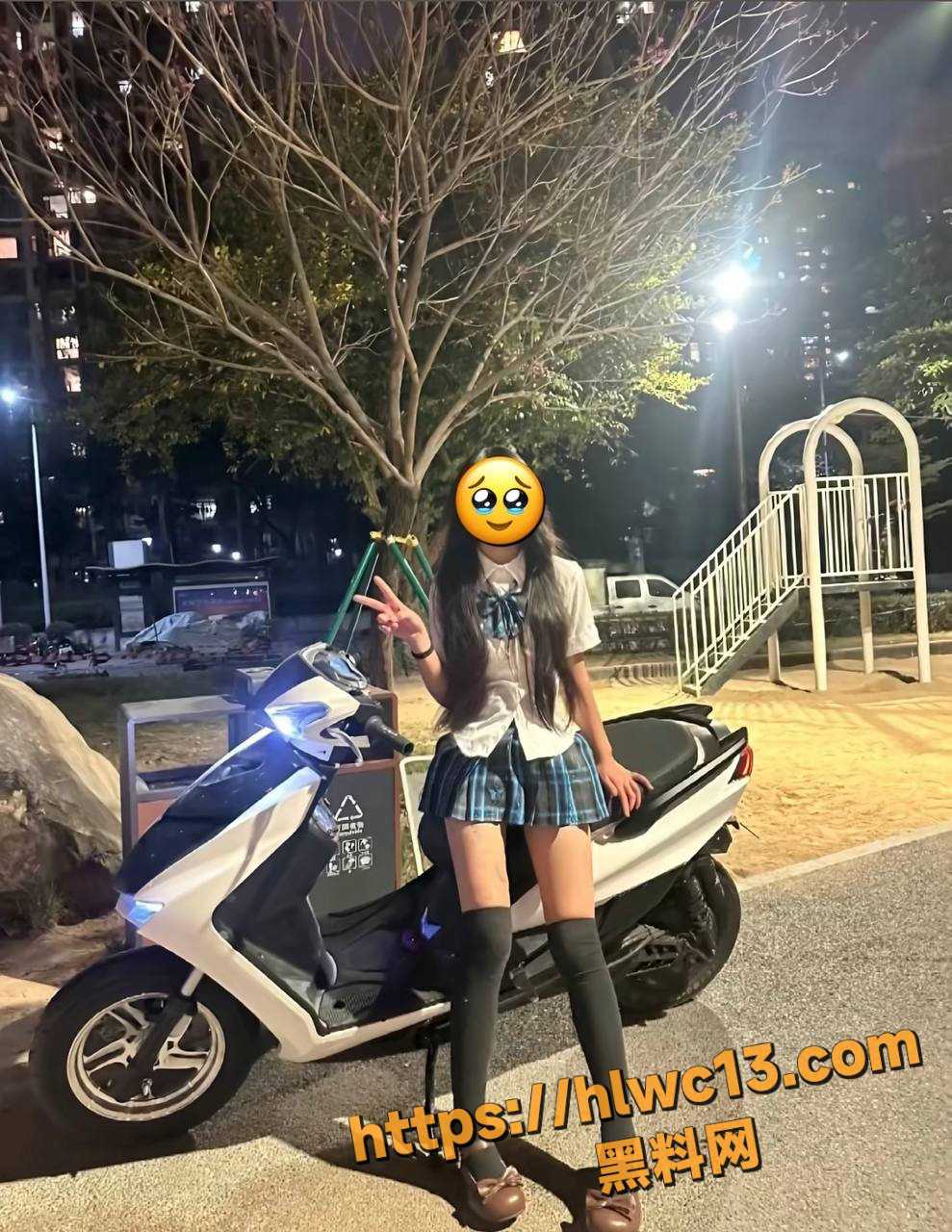 好笨6