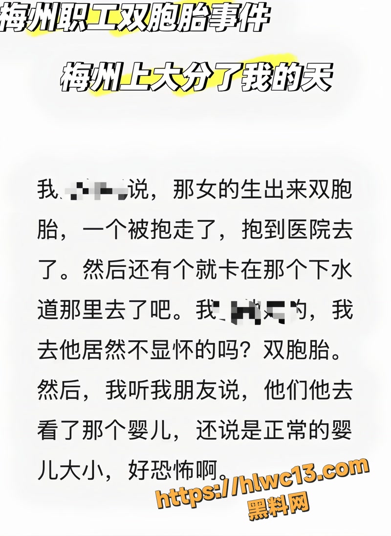 06职校wm