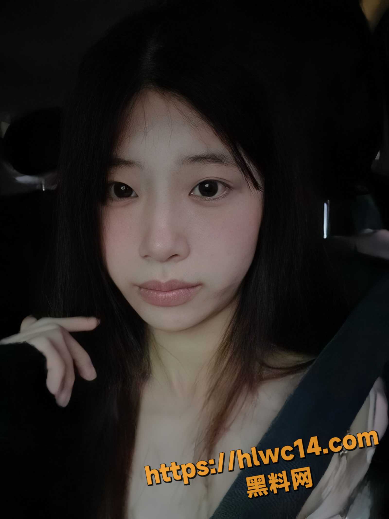 戴佳欣性爱视频3