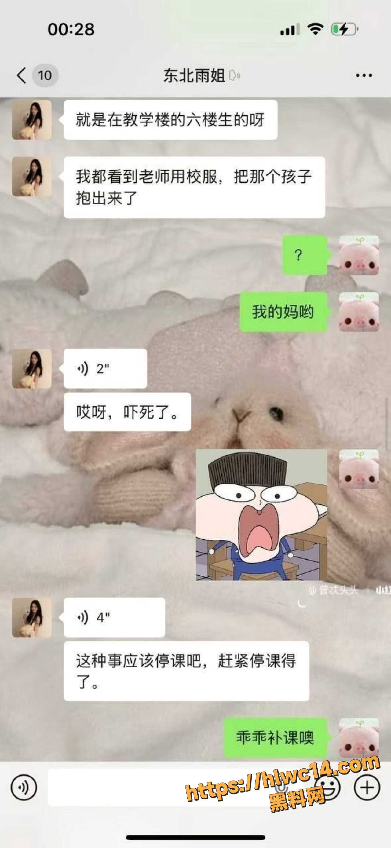 双胞胎