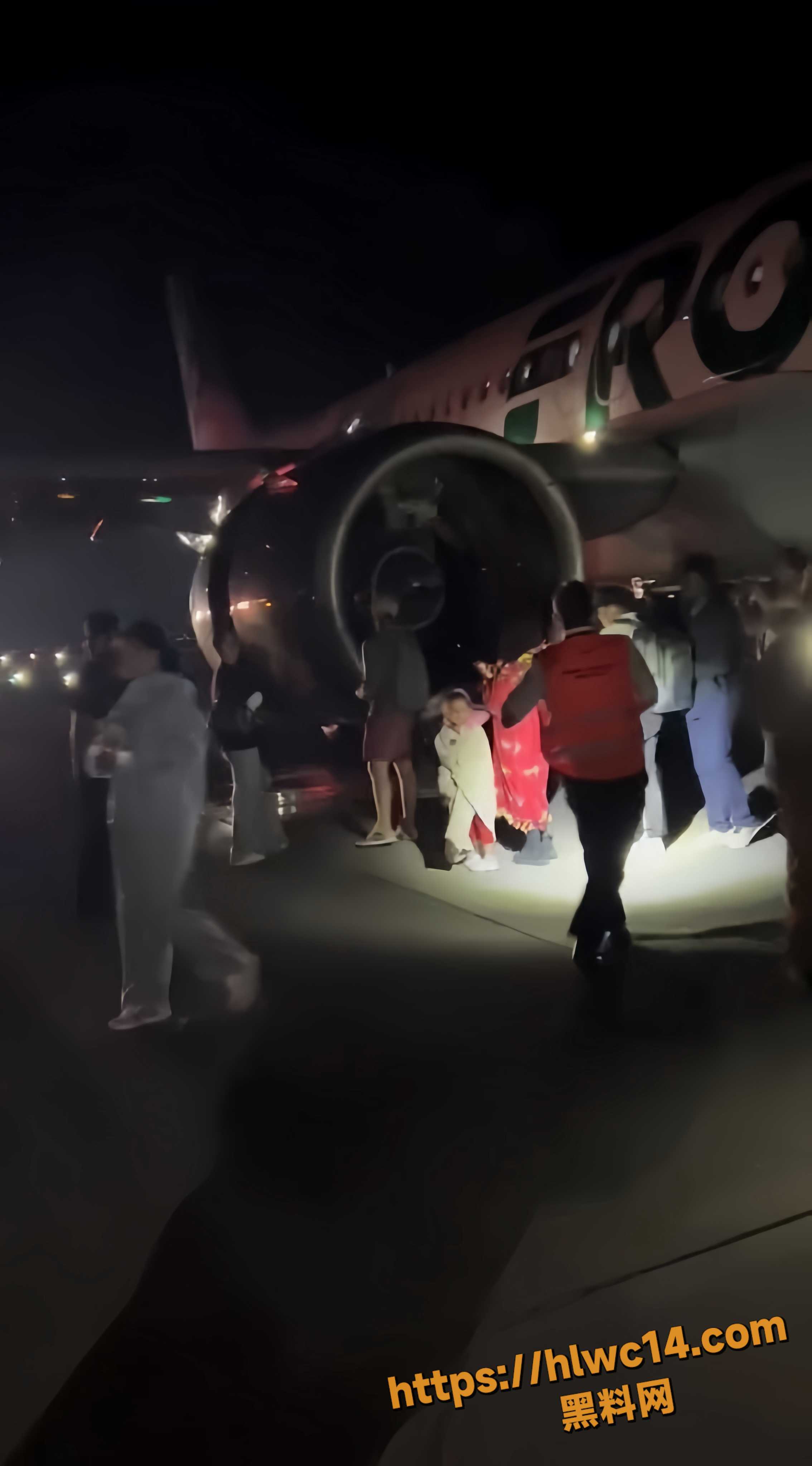 丹佛国际机场飞机撞人现场视频4