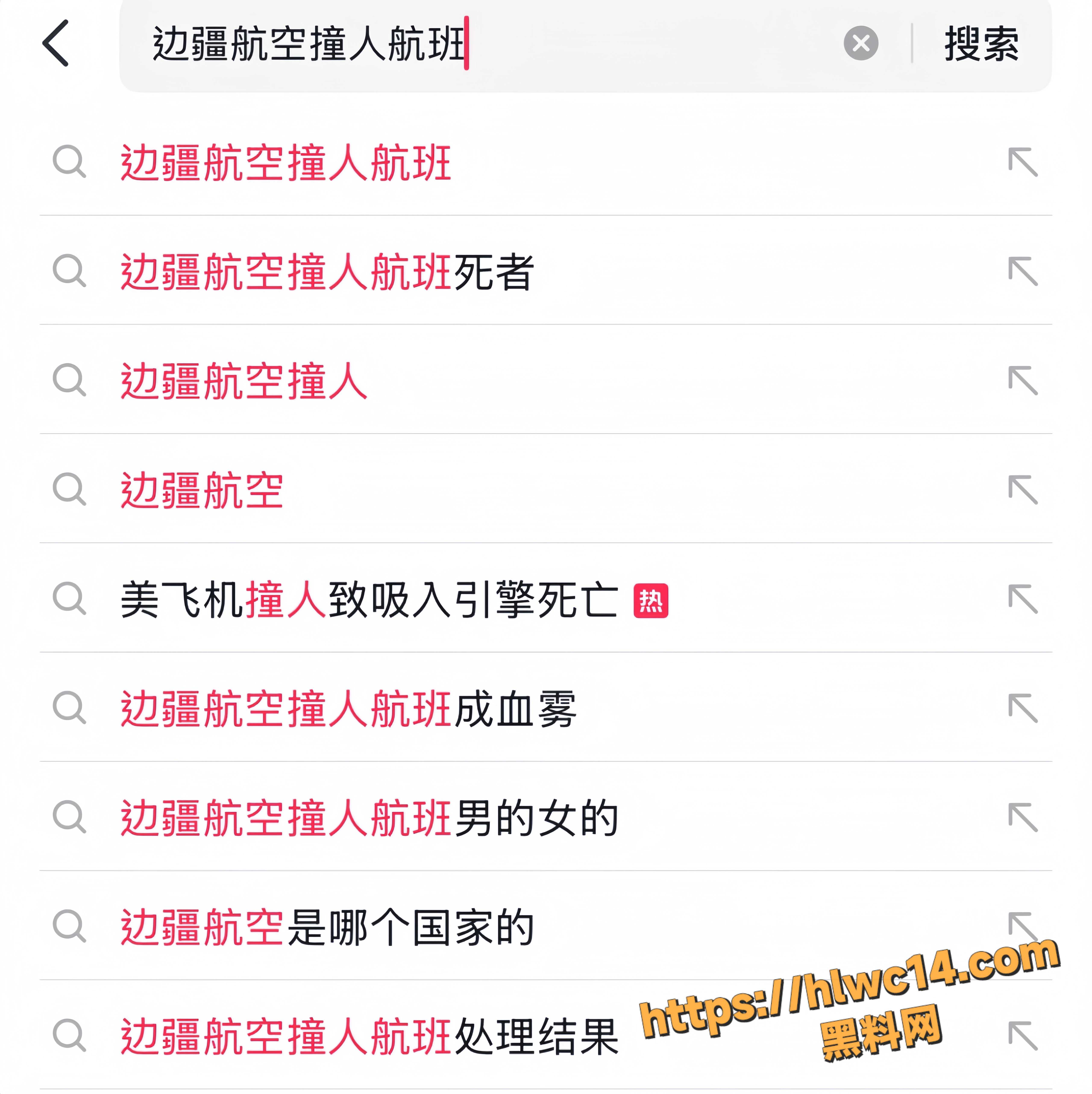 丹佛国际机场飞机撞人现场视频1