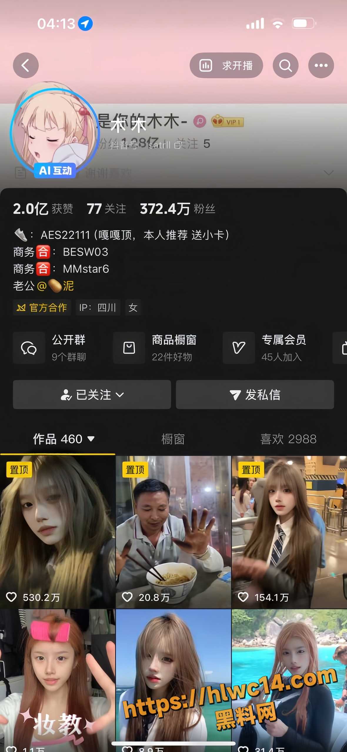 抖音三百万网红木木1