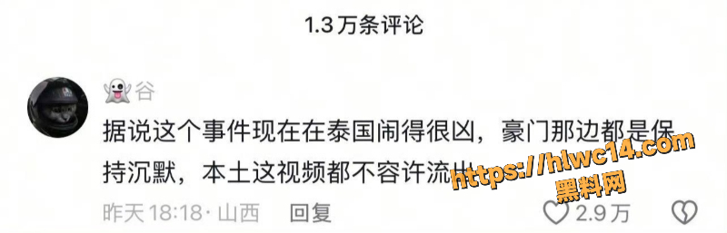 Singha继承人性侵亲弟事件3