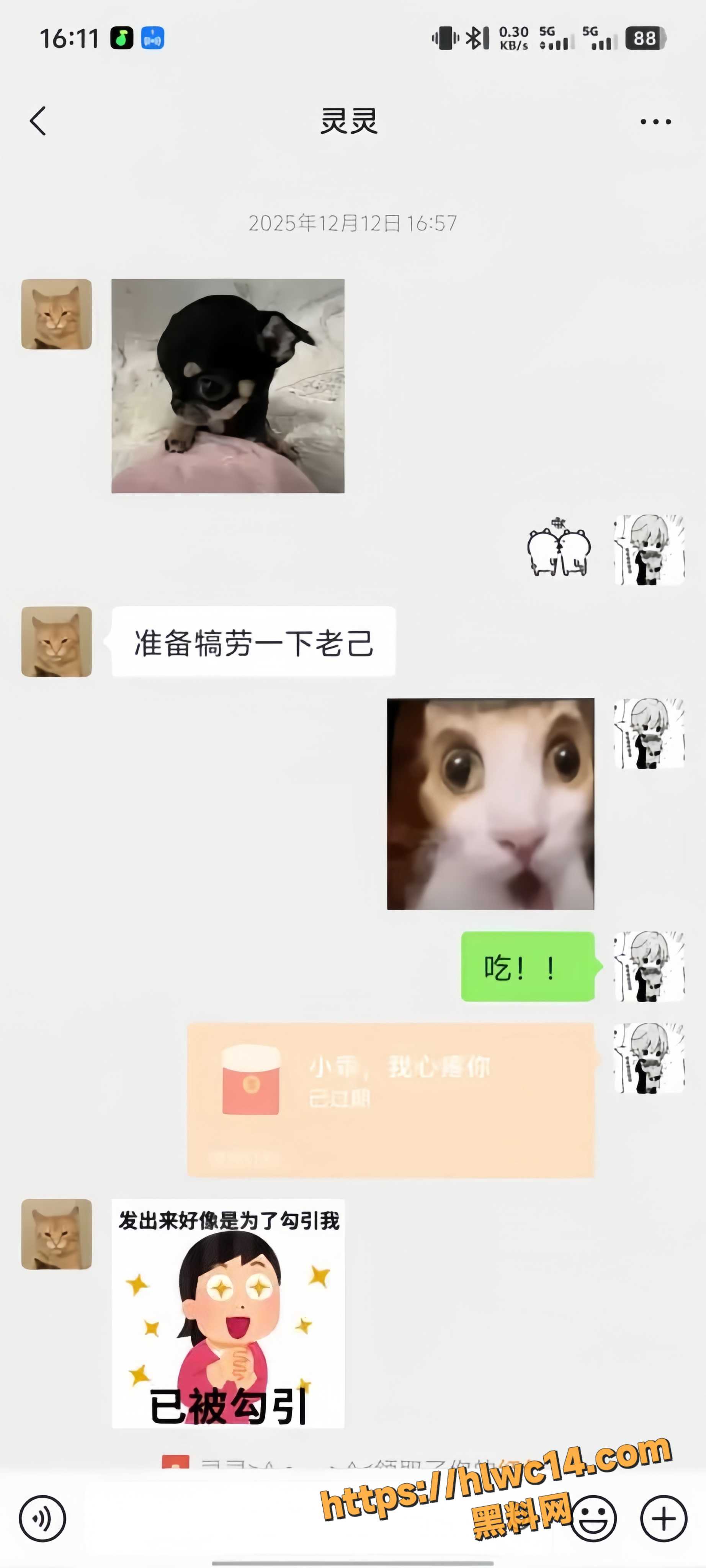 幸福来得太晚17