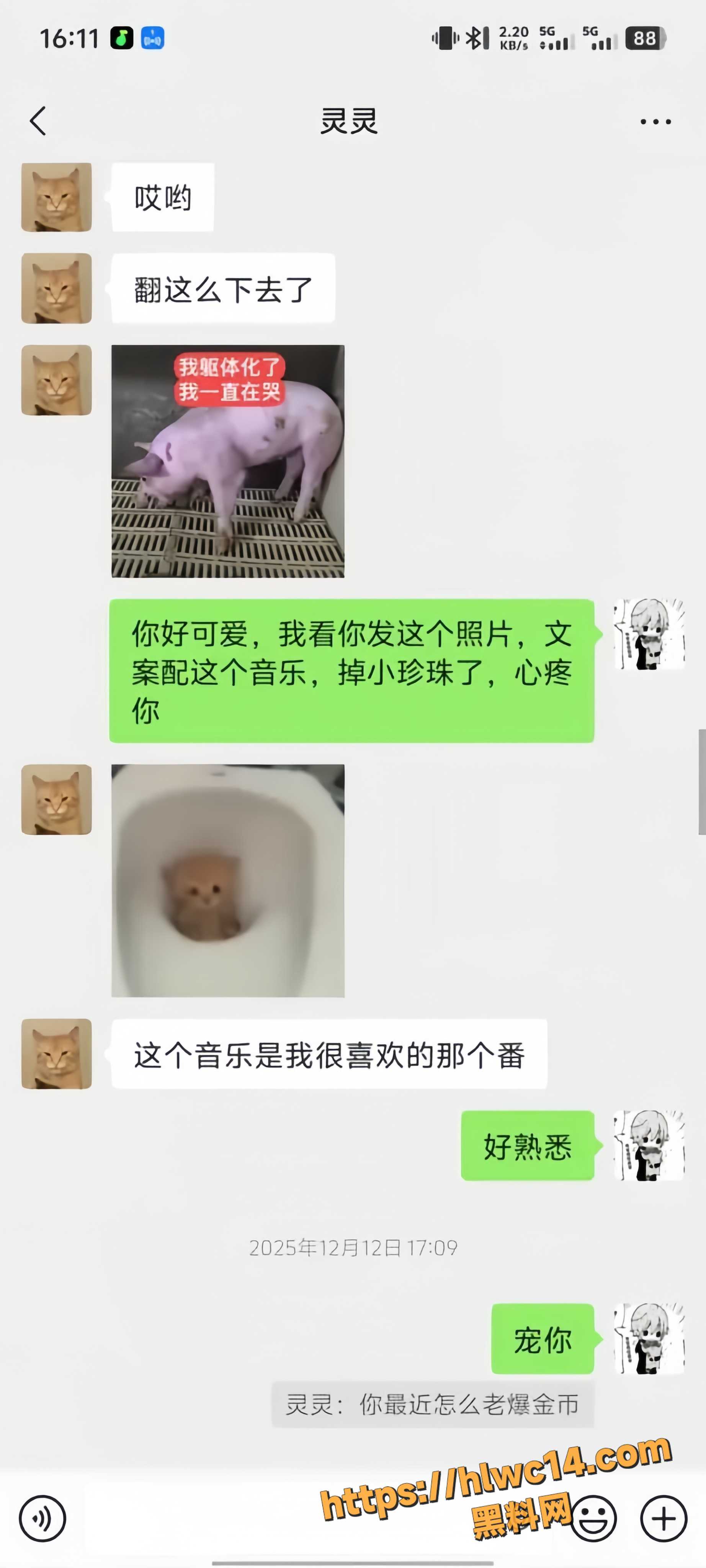 幸福来得太晚19