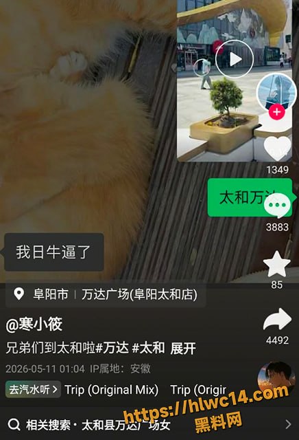 太和万达广场裸奔事件