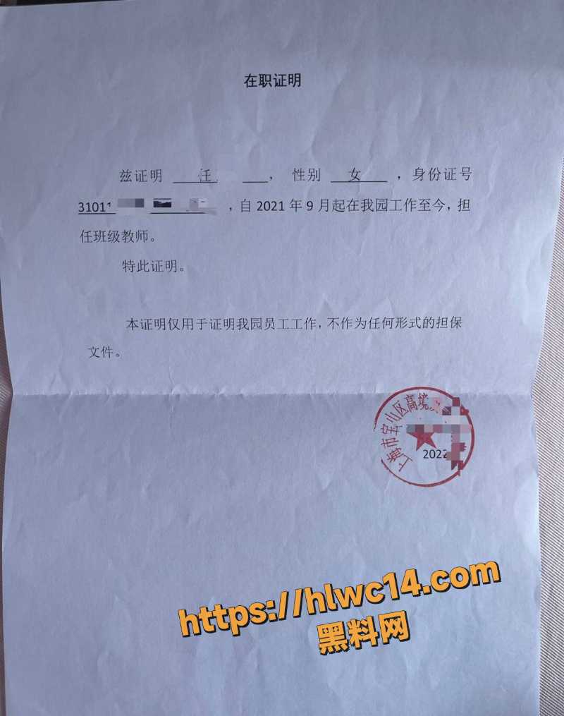 幼儿园教师任思佳卖淫事件5