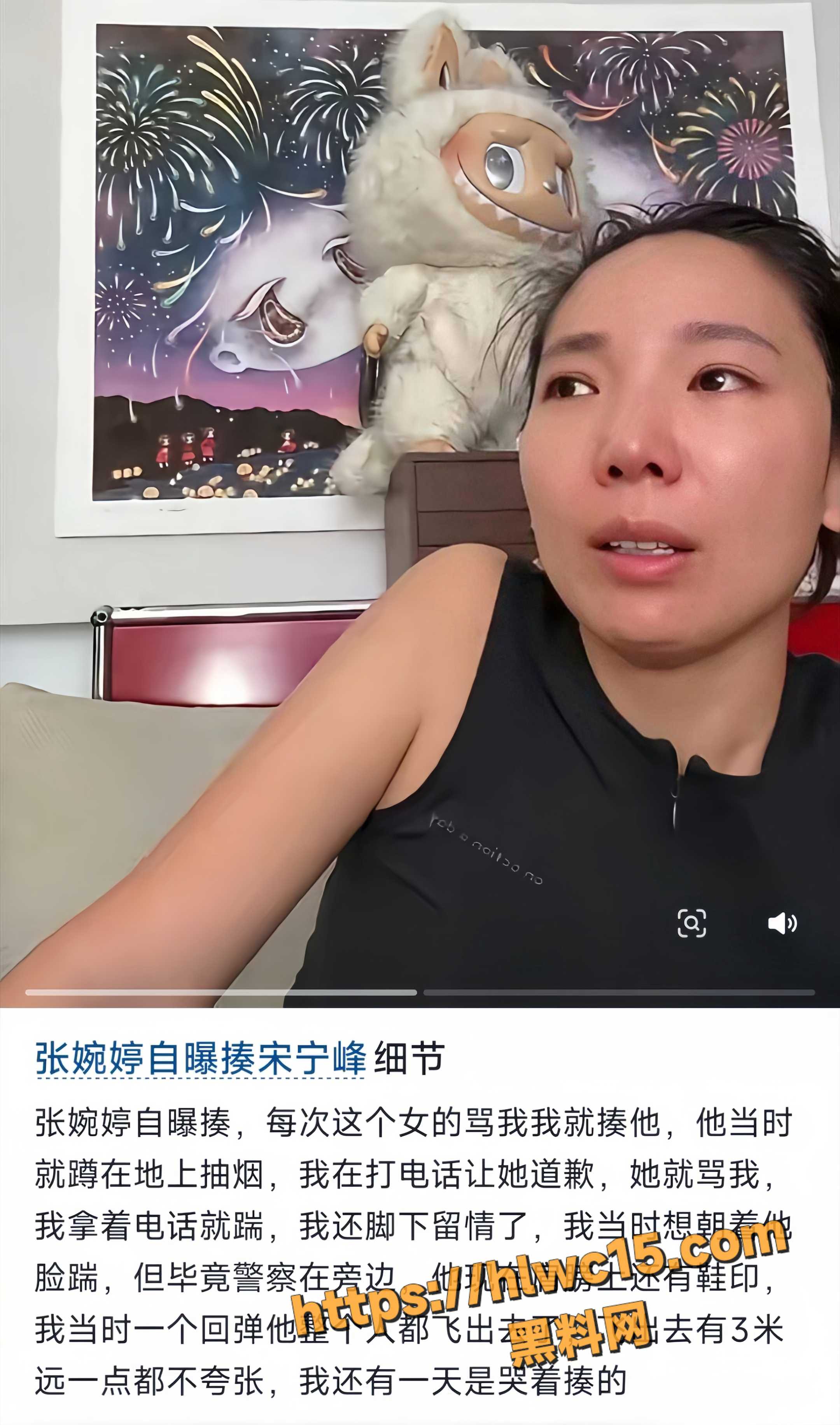 宋宁峰妻子张婉婷7