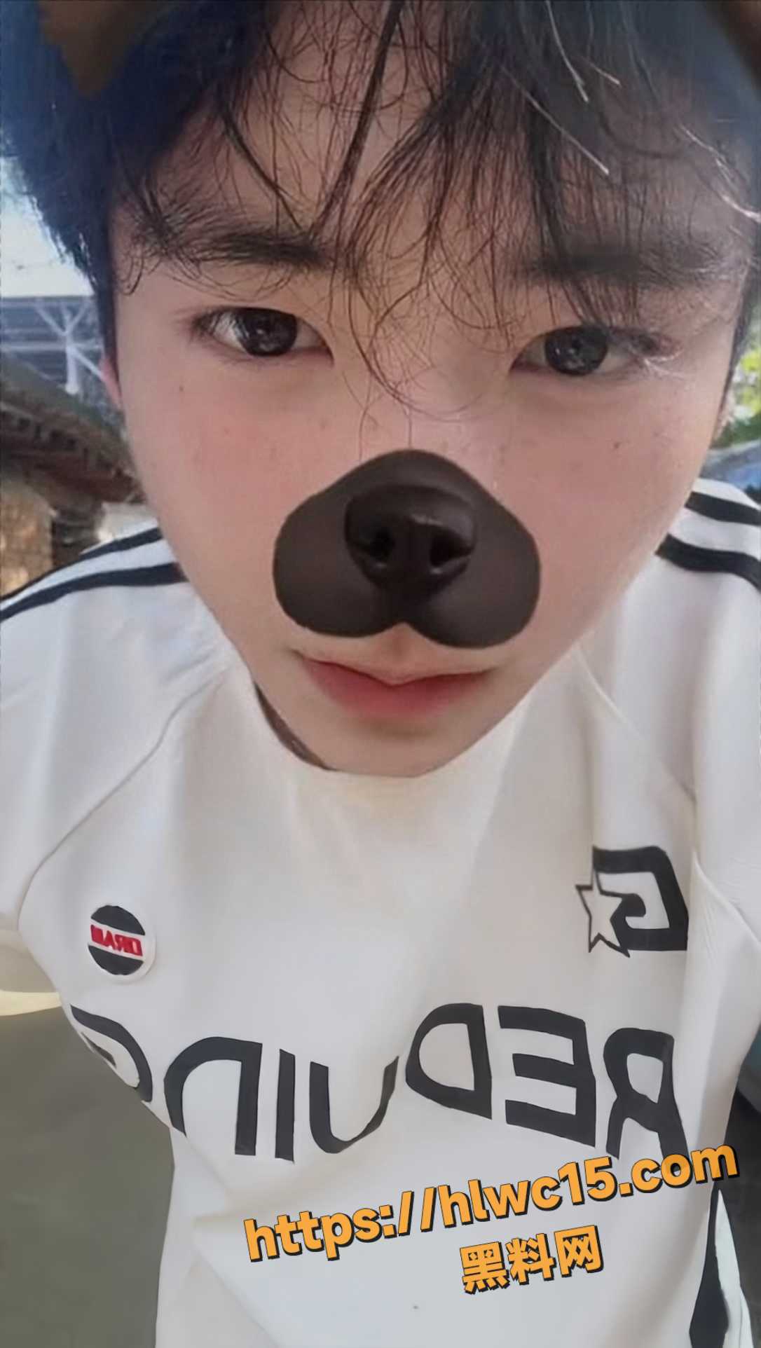 牛奶青提下海事件3