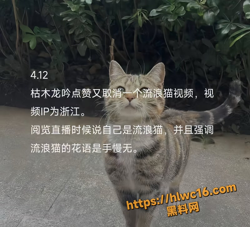 05博主wm